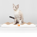 Carton Cat Waves down Когтеточка для кошек (картон) – интернет-магазин Ле’Муррр