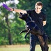 Ferplast PULLER STANDARD Игрушка для собак – интернет-магазин Ле’Муррр
