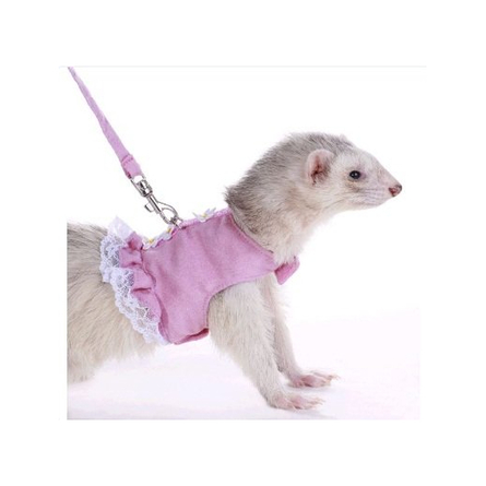 Marshall Шлейка-платье с поводком для хорьков, розовое – интернет-магазин Ле’Муррр
