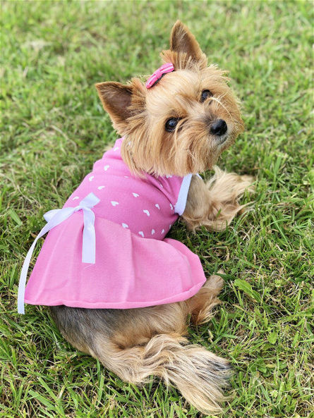 Osso Платье для собак 