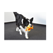 Flamingo Игрушка для собак Утенок желтый с пищалкой, 20см – интернет-магазин Ле’Муррр