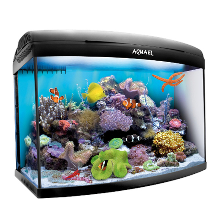 Aqua El Reefmax Морской фигурный аквариум рифовый, синий – интернет-магазин Ле’Муррр