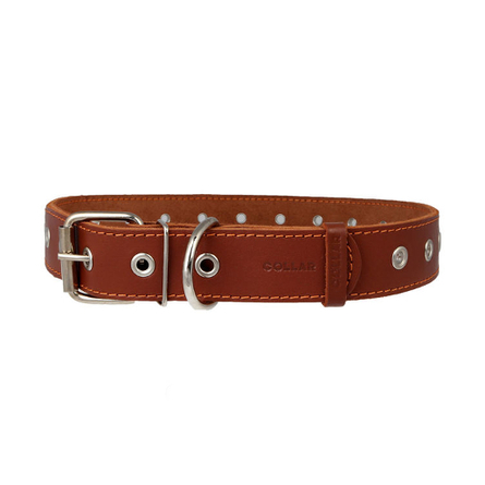 Collar Ошейник для собак безразмерный, ширина 2,5 см, длина 60 см, коричневый – интернет-магазин Ле’Муррр