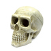 ArtUniq Large Skull Декоративная композиция для аквариума Большой череп – интернет-магазин Ле’Муррр